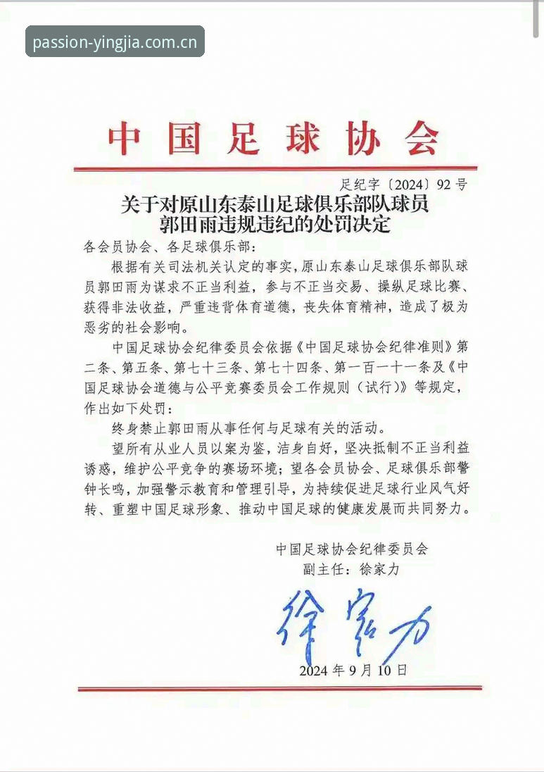 盈嘉体育全球精彩安卓版 资深球迷实战经验分享:从足协第三批禁足名单看中国足球的合规重构